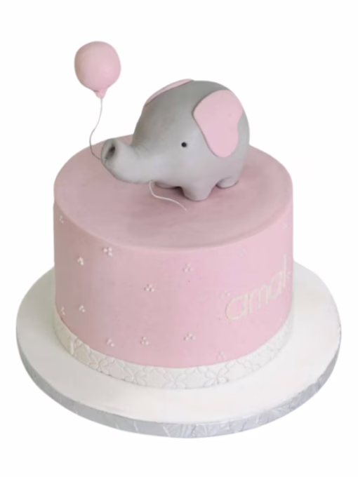 its-a-girl-theme-cake